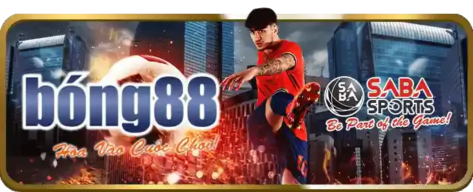 Đá Gà Thomo Trực Tiếp usbet